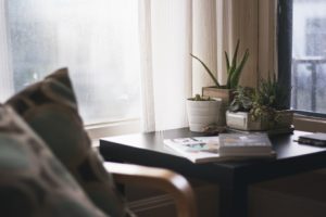 Zpestřete si home office živými rostlinami, budete se cítit skvěle