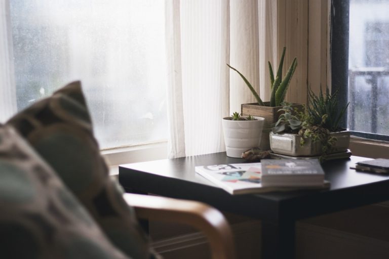 Zpestřete si home office živými rostlinami, budete se cítit skvěle
