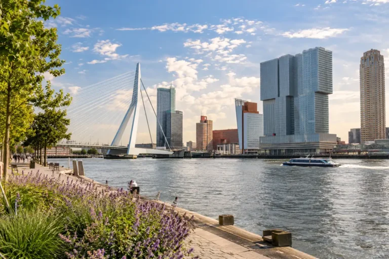 AI ilustrace: říční panorama s moderní architekturou inspirované Rotterdamem.